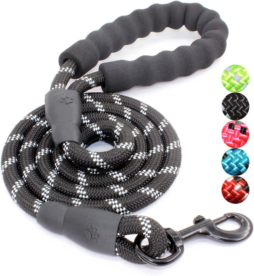 Padded Dog Leash